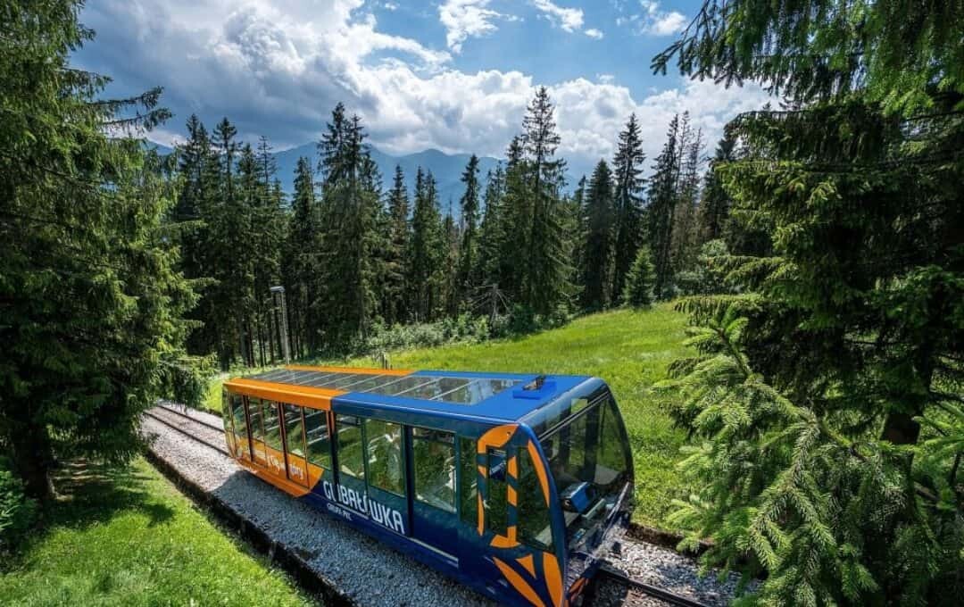 Gubalówka funicular train climbing through pine forest with Tatra mountains